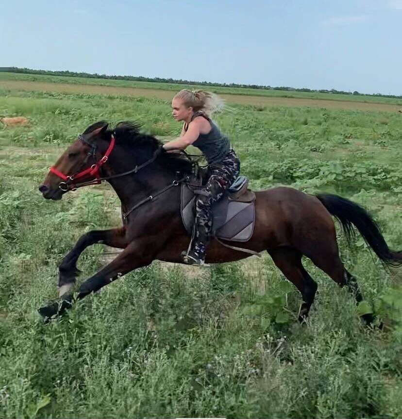 Съемки с соседней лошади