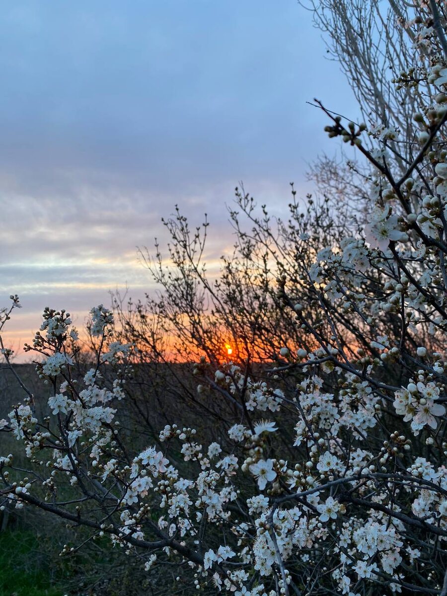 Закат в деревне