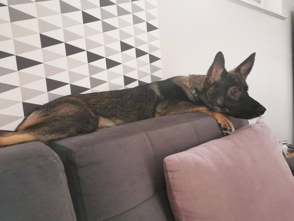 Да они мне тоже. Да они мне тоже. Да они мне тоже. Некрасилв ине тоже не нравится. Черный список прикол.