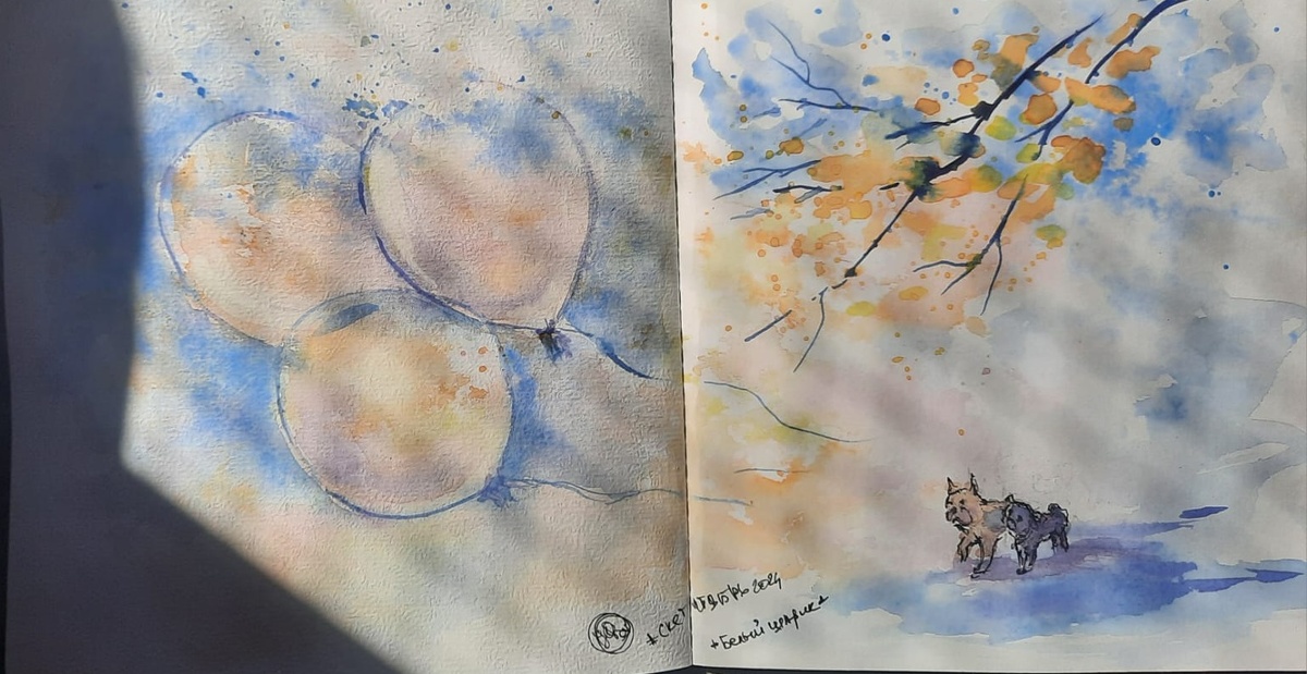 В листалке фото сделанное почти в тени, а здесь при ярком солнце из окна.