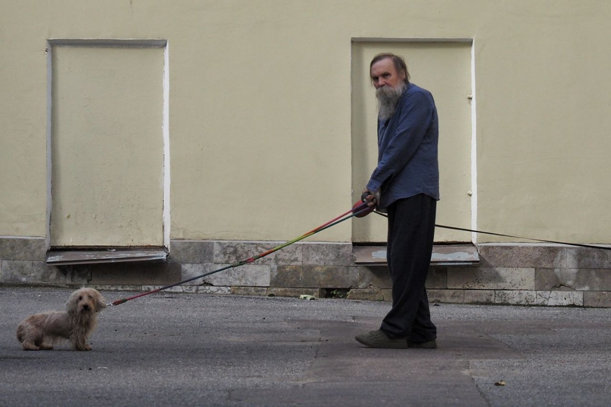    фото: Михаил Огнев / «Фонтанка.ру»