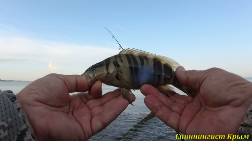 Морская рыбалка. Ультралайт. Отводной поводок. Разнорыбица.