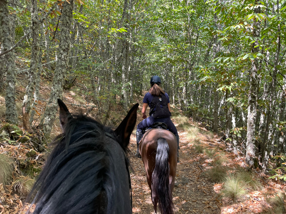 Погода тоже решила нам подыграть