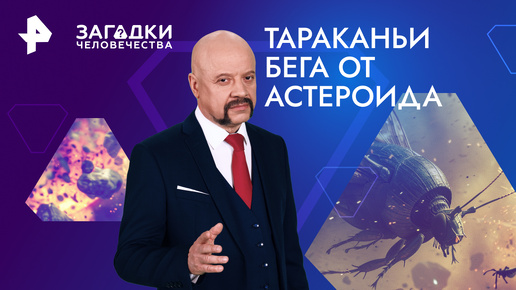 Download Video: Тараканьи бега от астероида. Как насекомые уцелели во время катастрофы — Загадки человечества с Олегом Шишкиным