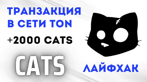 CATS ДРОП | КАК ВЫПОЛНИТЬ ТРАНЗАКЦИЮ В СЕТИ TON И ПОЛУЧИТЬ 2000 CATS