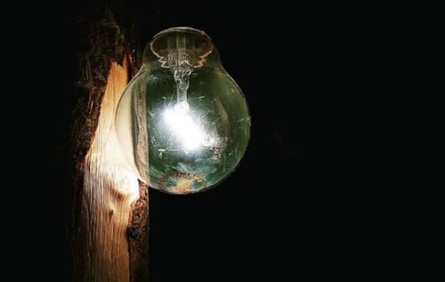    Фото: EyeEm/Freepik