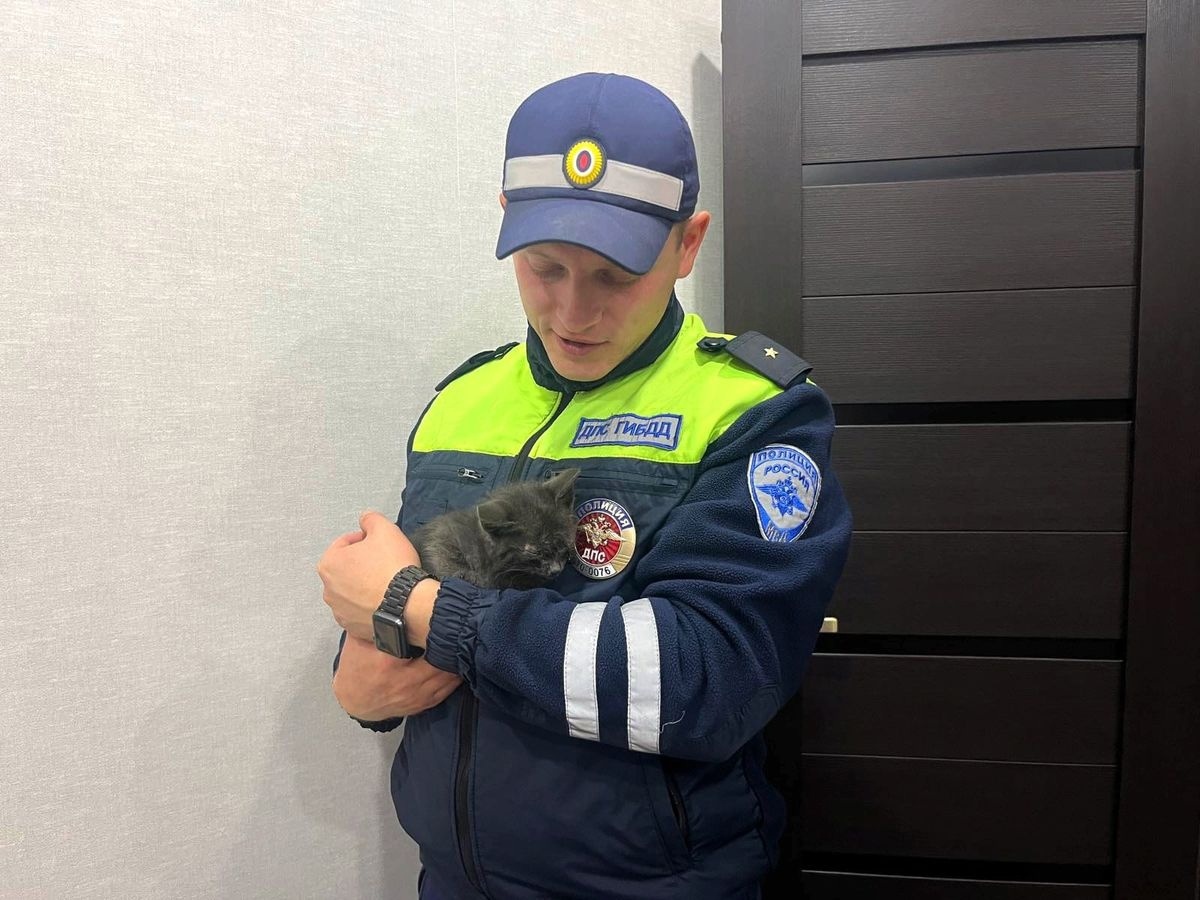   фото: МВД по Республике Карелия