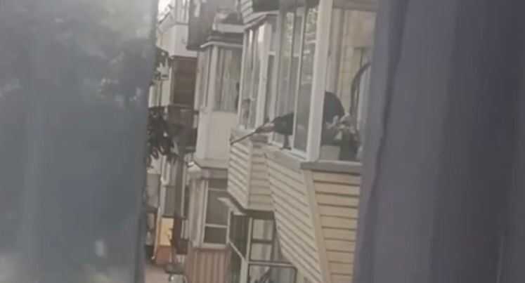   Соцсети