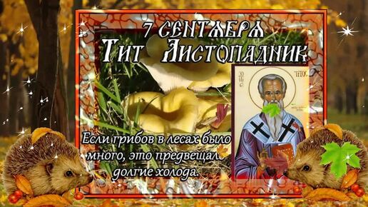 7 сентября - Тит Листопадник. Народный праздник