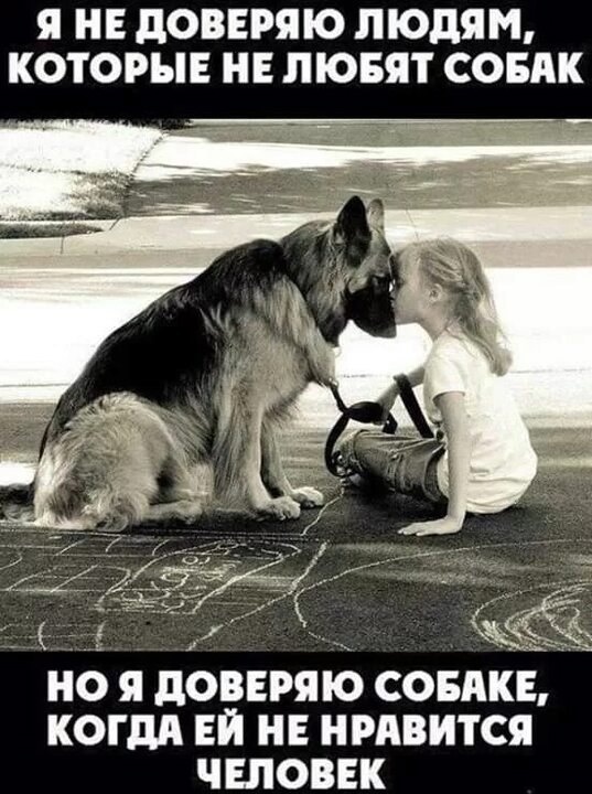 Вика я тебя люблю. Прикольные картинки со словами. Футболка с надписью я люблю ваню. Футболка люблю марину. Зато ты есть далеко но есть.
