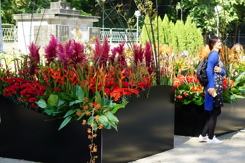    Город-сад Татьяна ПОДЪЯБЛОНСКАЯ