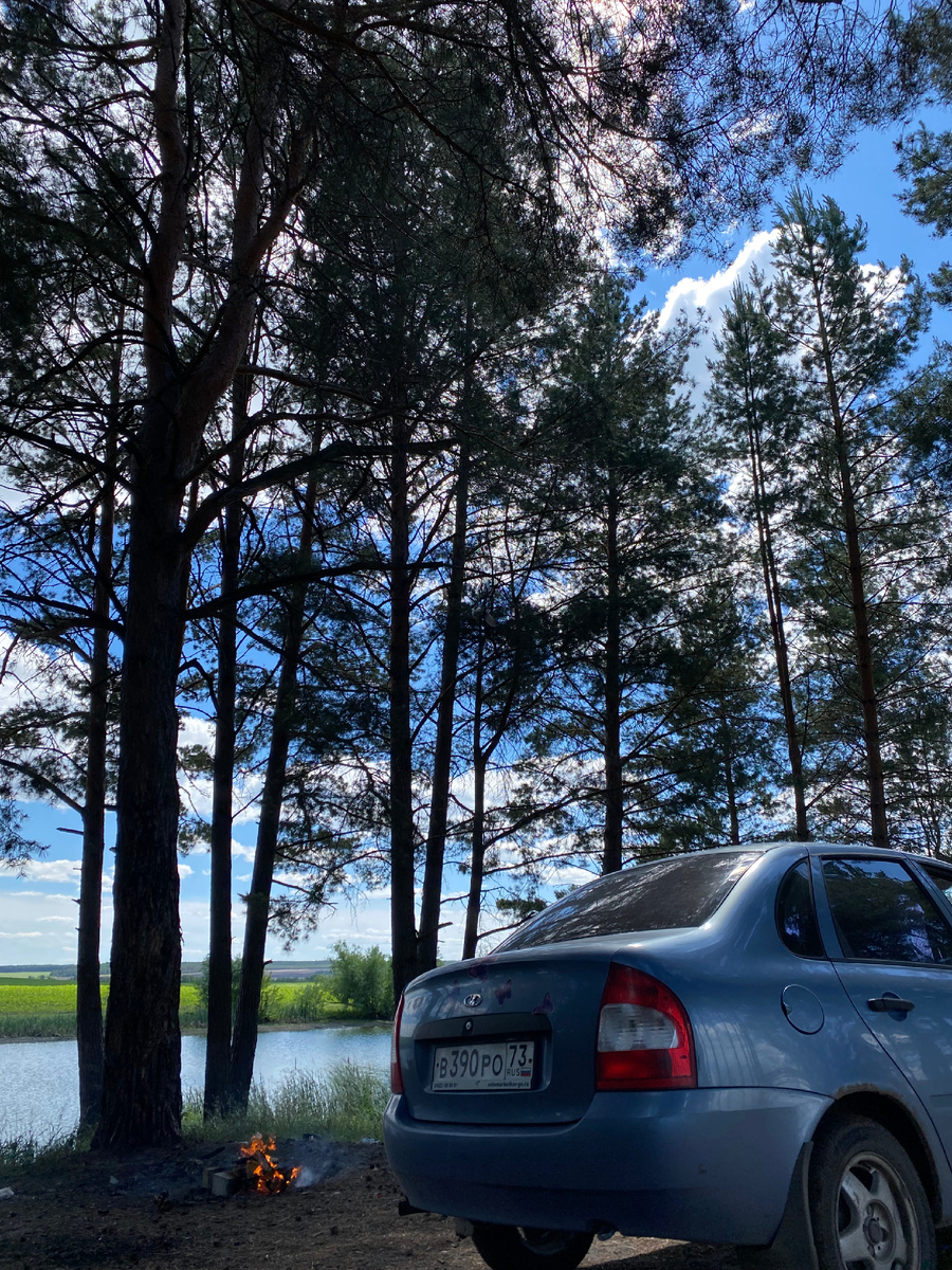 Можно увидеть на арках рыжики