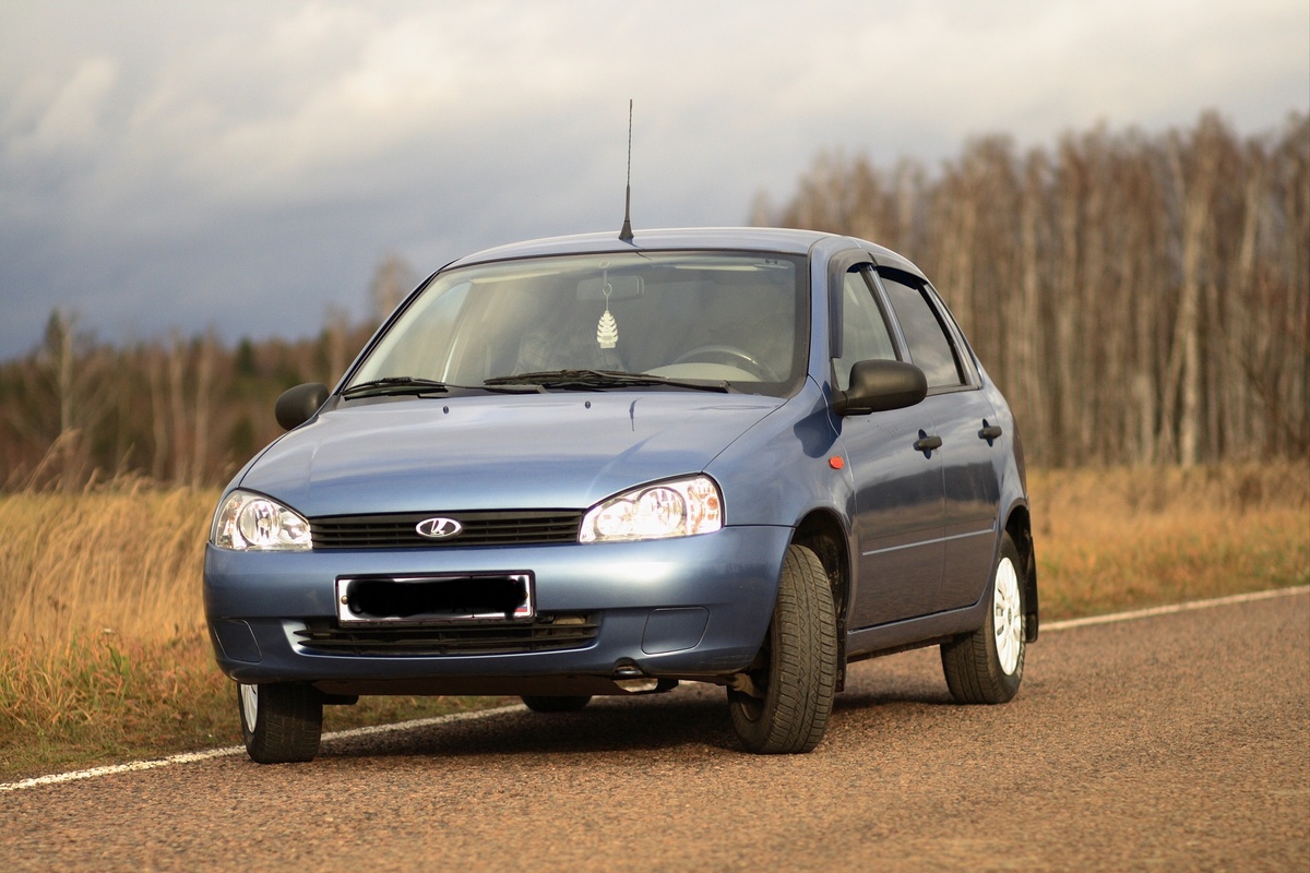 Калина в дороге