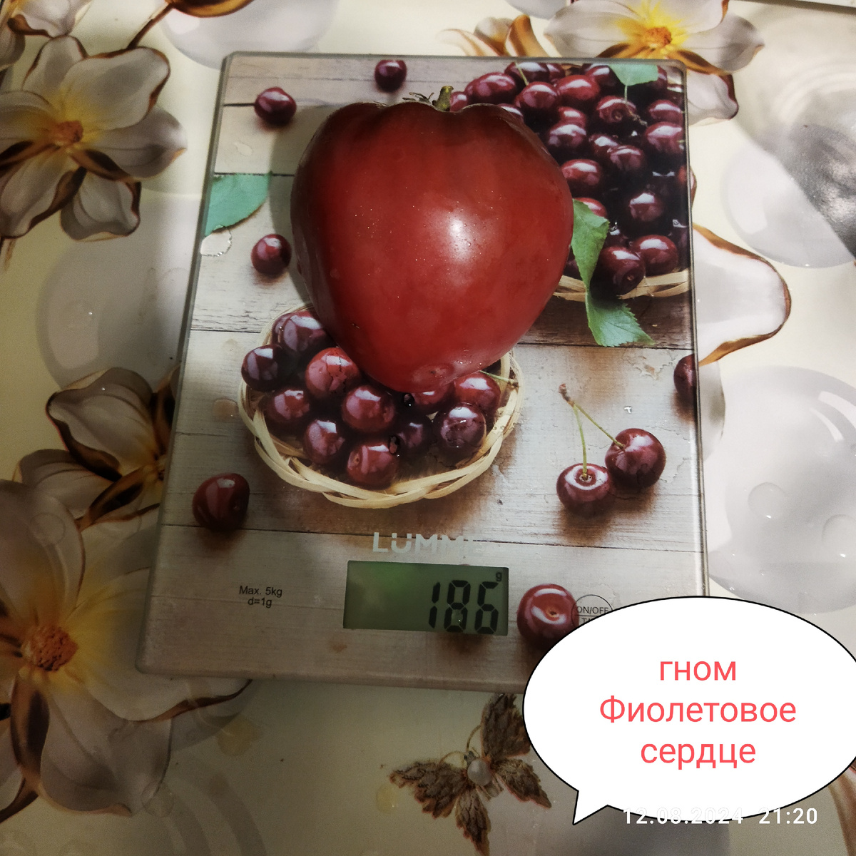 Дата фото 12 августа, не первый 