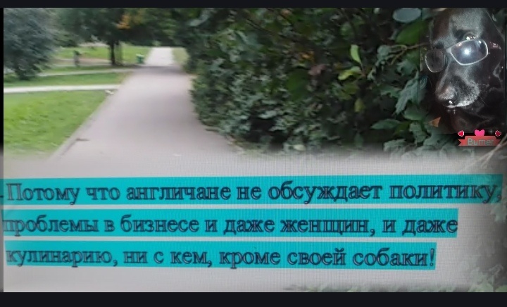 Юмор, анекдот