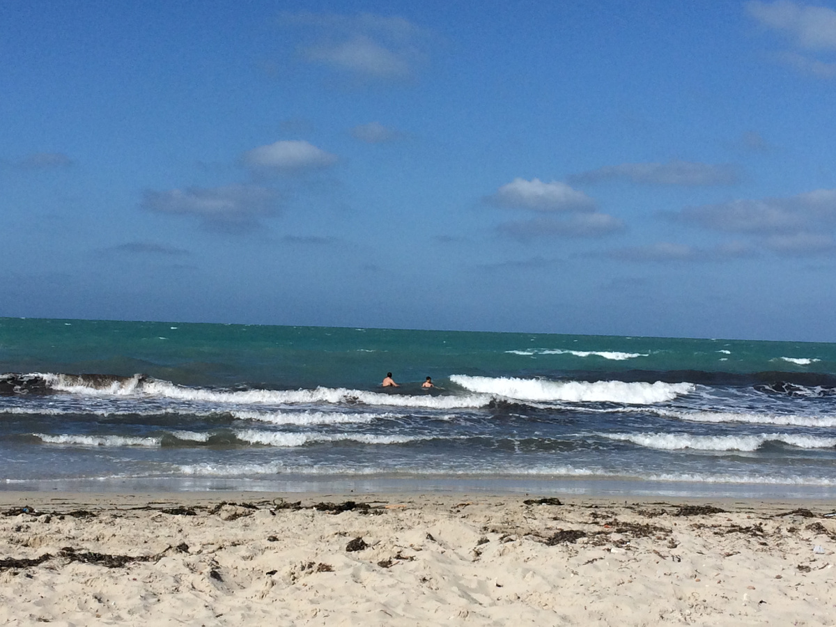 Волны, водоросли в воде и на пляже