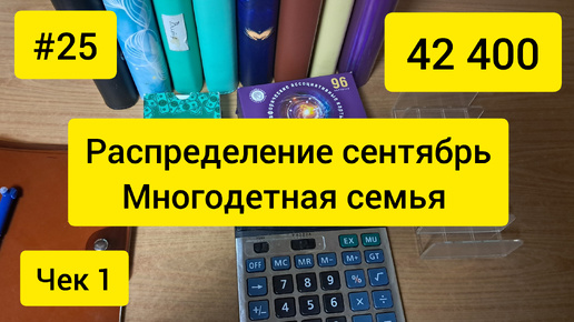 Распределение бюджета по конвертам в многодетной семье. Сентябрь, чек 2