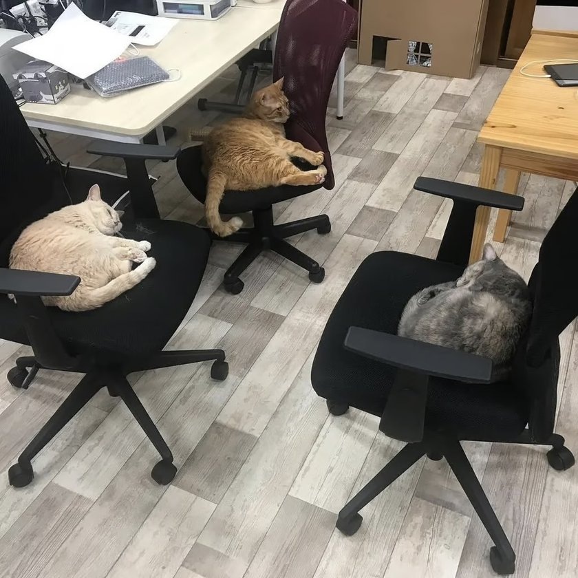 В офисе у него. В офисе у него