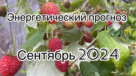 СЕНТРЯБРЬ 2024. ВСЕ ИДЕТ ЧЕРЕЗ.. ПО ПЛАНУ.