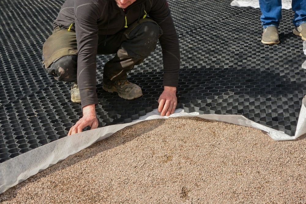 Источник: https://stock.adobe.com/ru/