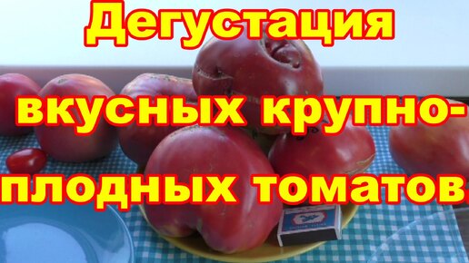 Сравнительная дегустацыя очень вкусных крупноплодных томатов