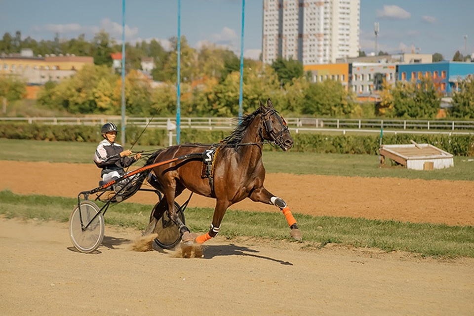    Осенний фестиваль фермерской продукции пройдет в Ижевске в эту субботу. Фото: Мария Бакланова