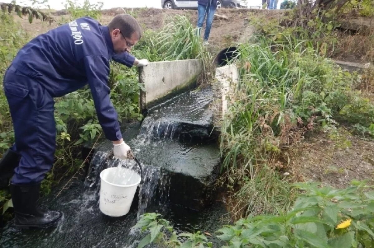    Липецкое предприятие выплатит 31 миллион рублей за слив нечистот в реку