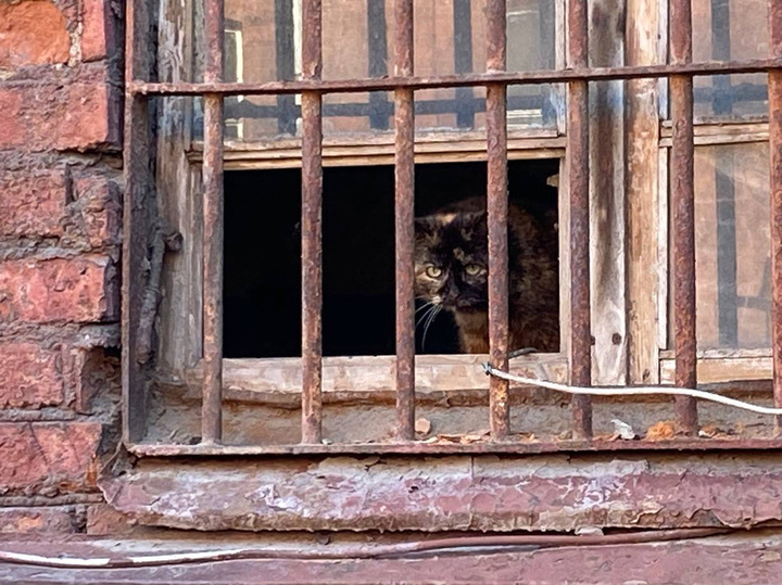 Фото Данил Сергеев