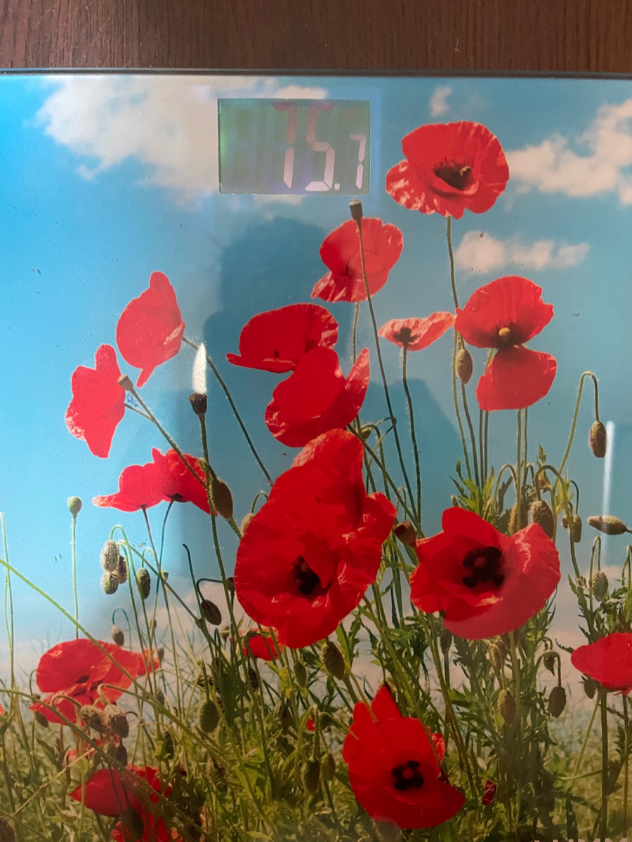 Мой вес на пятницу.