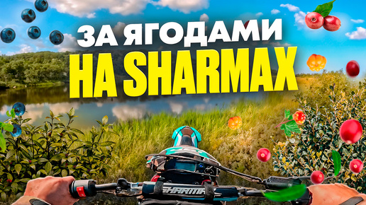 за ягодами на Sharmax 190