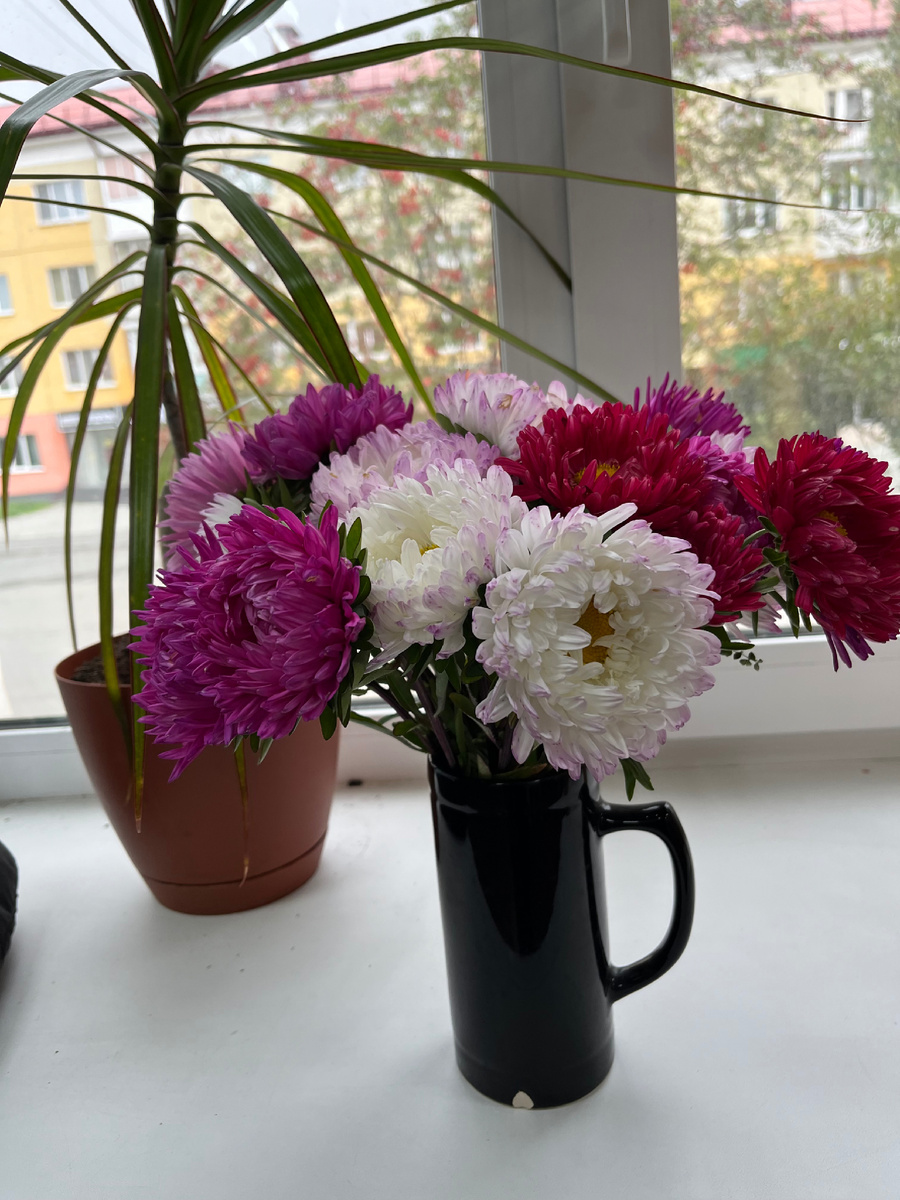 Фото автора .  Из окна как раз видно то самое здание с подвальными помещениями) 