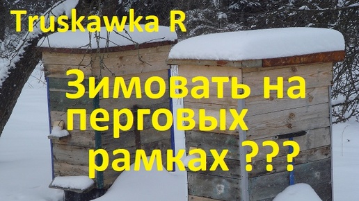 Пчёлы. Медоперговые рамки в зиму, могут обернуться большими проблемами. Как избежать