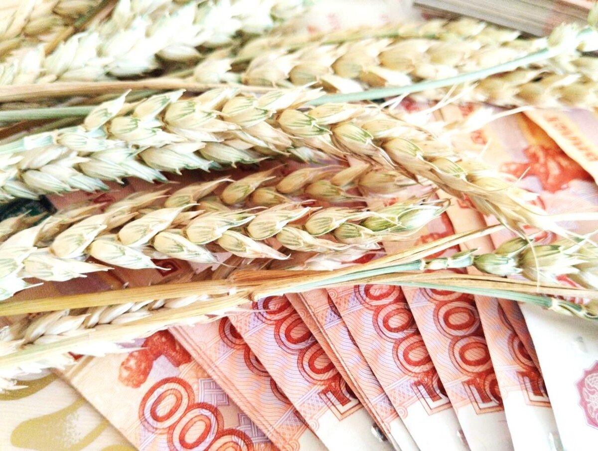 Фото: АПК Новости
