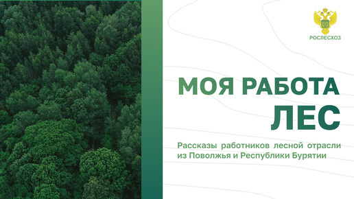 #МояРаботаЛес: Рассказы работников лесной отрасли из Поволжья и Республики Бурятии