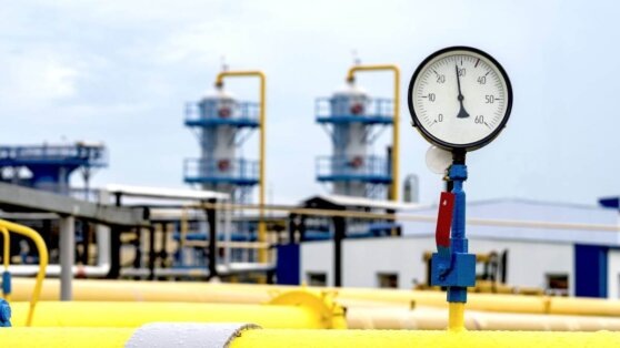    В Сербии анонсировали начало переговоров с Россией по газовому контракту Ирина Петрова