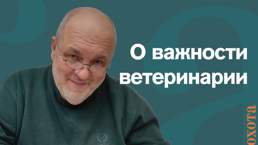 О ветеринарии поговорим? Валерий Кузенков о роли ветеринарии в охоте.