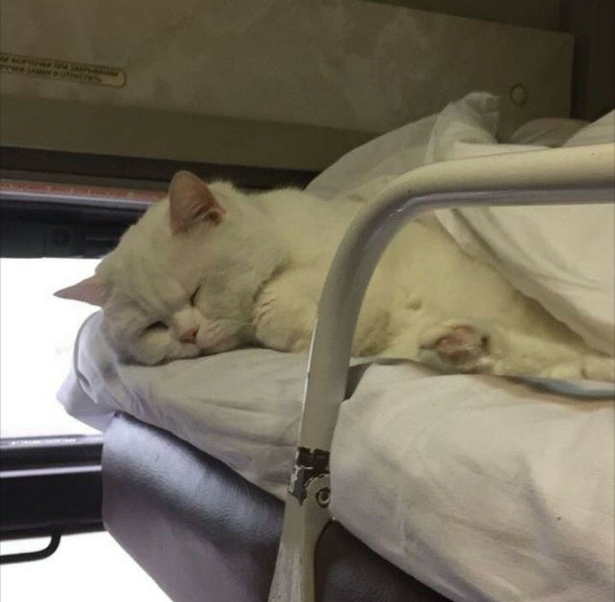 Источник: pibig.info