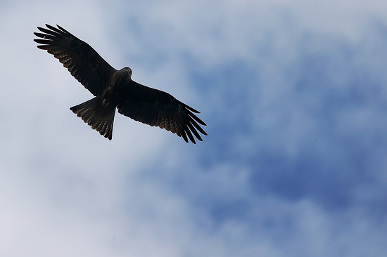 Фото: Владимир Смирнов/ТАСС 