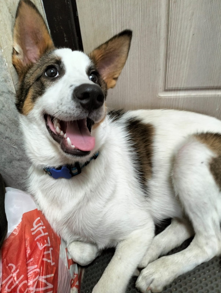 Маркус (Дружок)