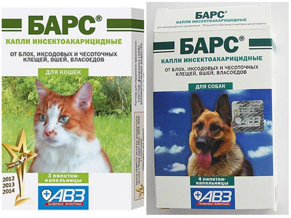 Как капли так и ошейники достаточно эффективна