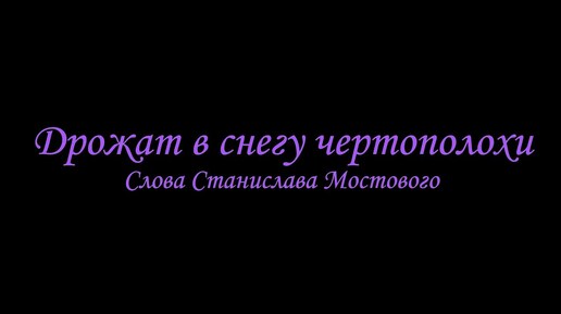 Дрожат в снегу чертополохи