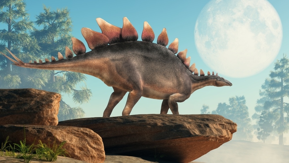    Фото: Shutterstock