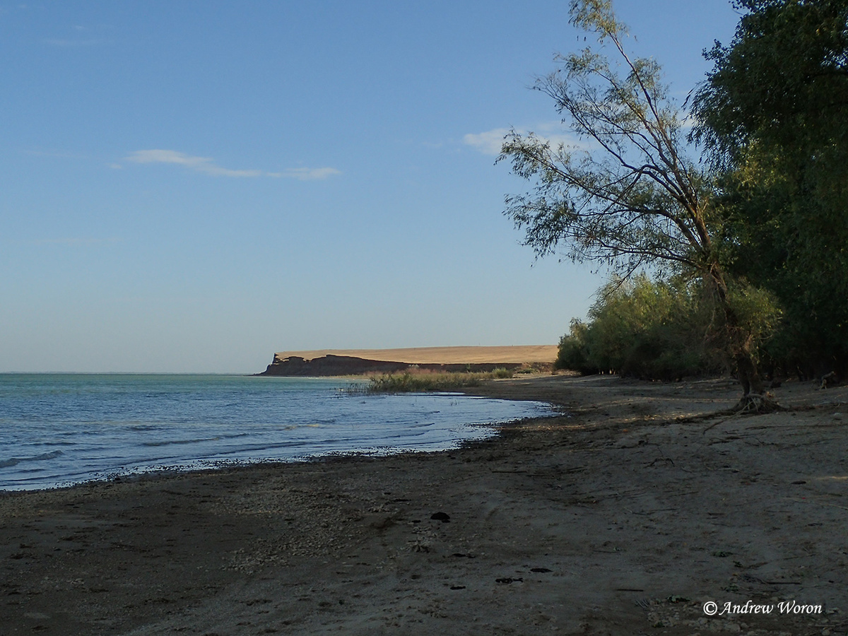 Утро на побережье водохранилища