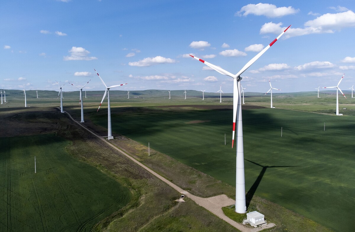 Кочубеевская ветряная электростанция // Sputnik / Виталий Тимкив