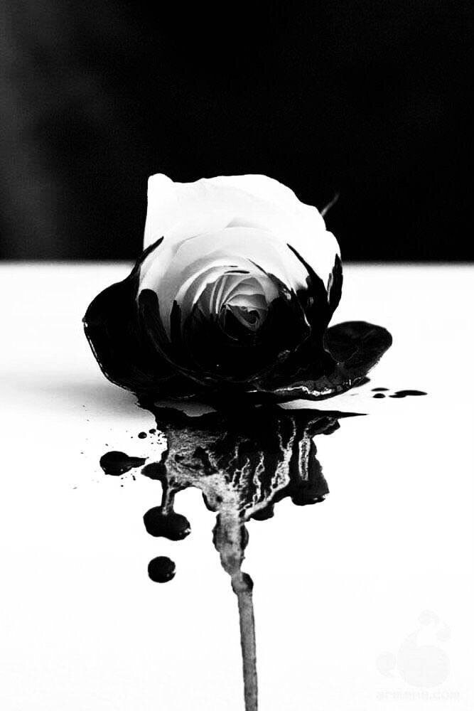 Надо научиться получать знания о себе из своего внутреннего пространства. Доверять своим ответам, действовать из своих ответов, вне зависимости от мнения других.