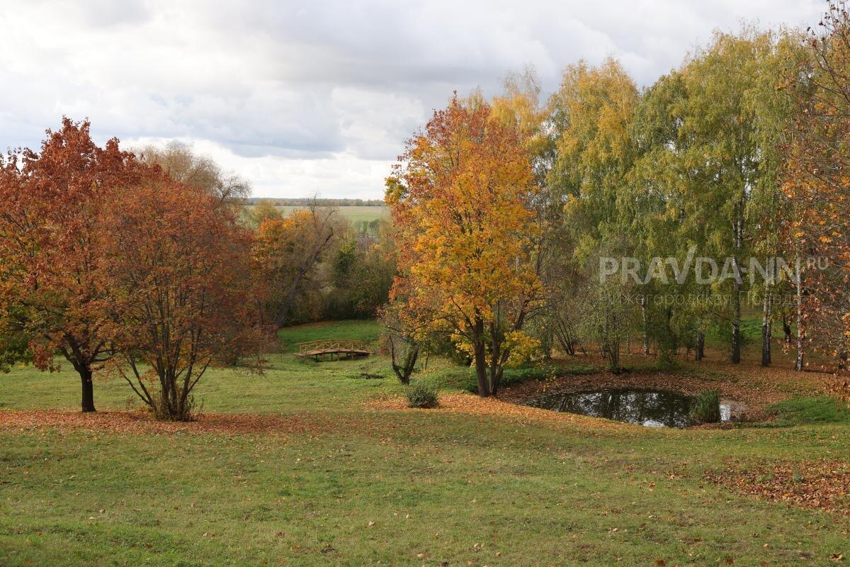    Даже знакомые пейзажи осенью становятся неузнаваемыми