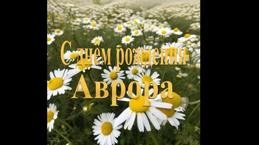 С днём рождения Аврора