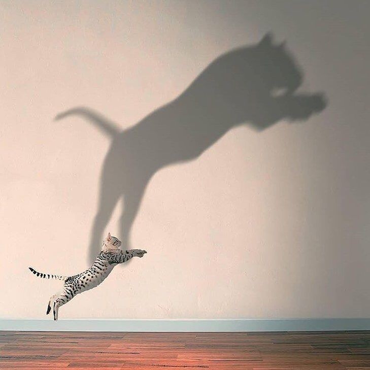 Источник: https://i.pinimg.com/736x/74/1b/30/741b30fae234bbdd12972fc0691a4b7f.jpg