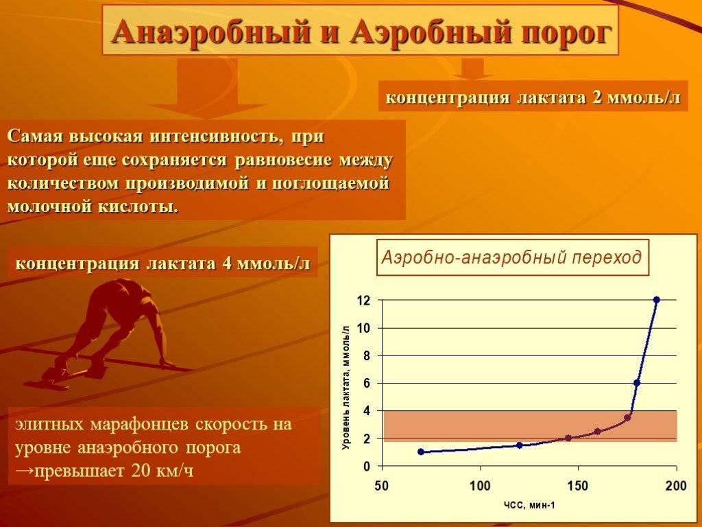 Тренировки для развития ПАНО на лыжероллерах