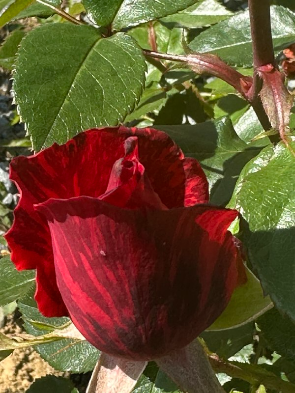 личное
